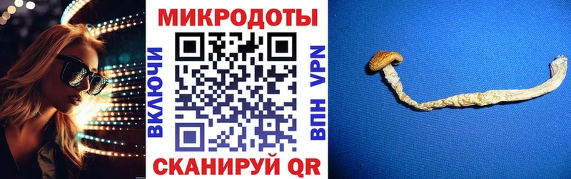 где можно купить Новый Уренгой Галлюциногенные грибы GOLDEN TEACHER
