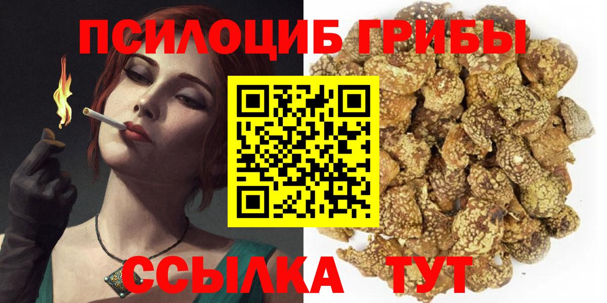 Псилоцибиновые грибы MAGIC MUSHROOMS  Вход с VPN  даркнет сайт  Новый Уренгой 